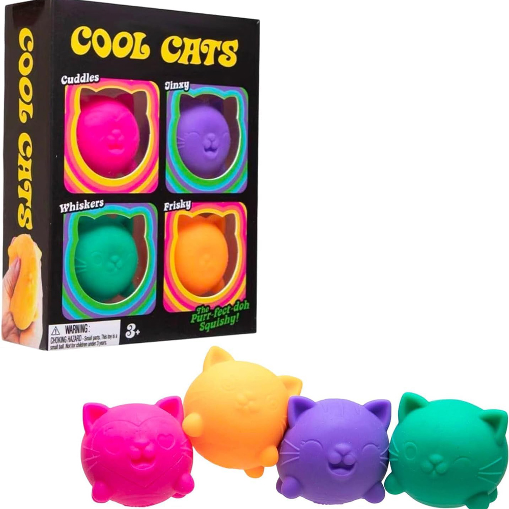 Schylling NeeDoh Simpatico Gat - Kids Toys Box recensione e prezzo