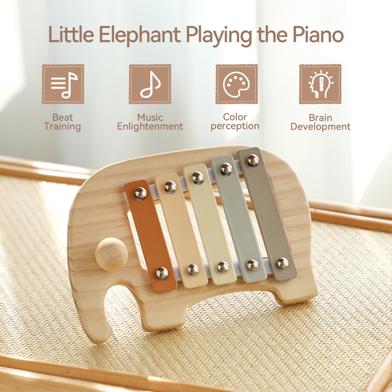 Montessori Legno 5 Toni Multic - Kids Toys Xylophone recensione e prezzo